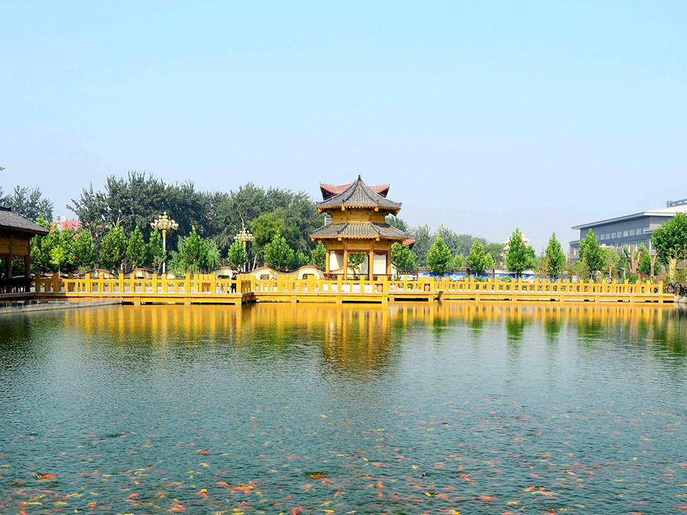 焦点娱乐酒泉湖